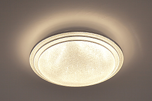 Светильник потолочный 10268 10268/S LED
